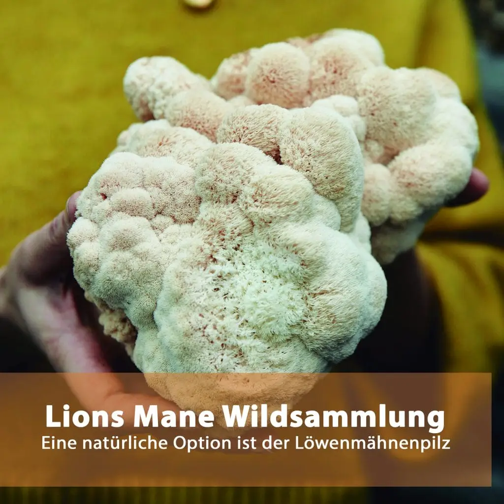 Natur Total Lions Mane Tinktur 250ml