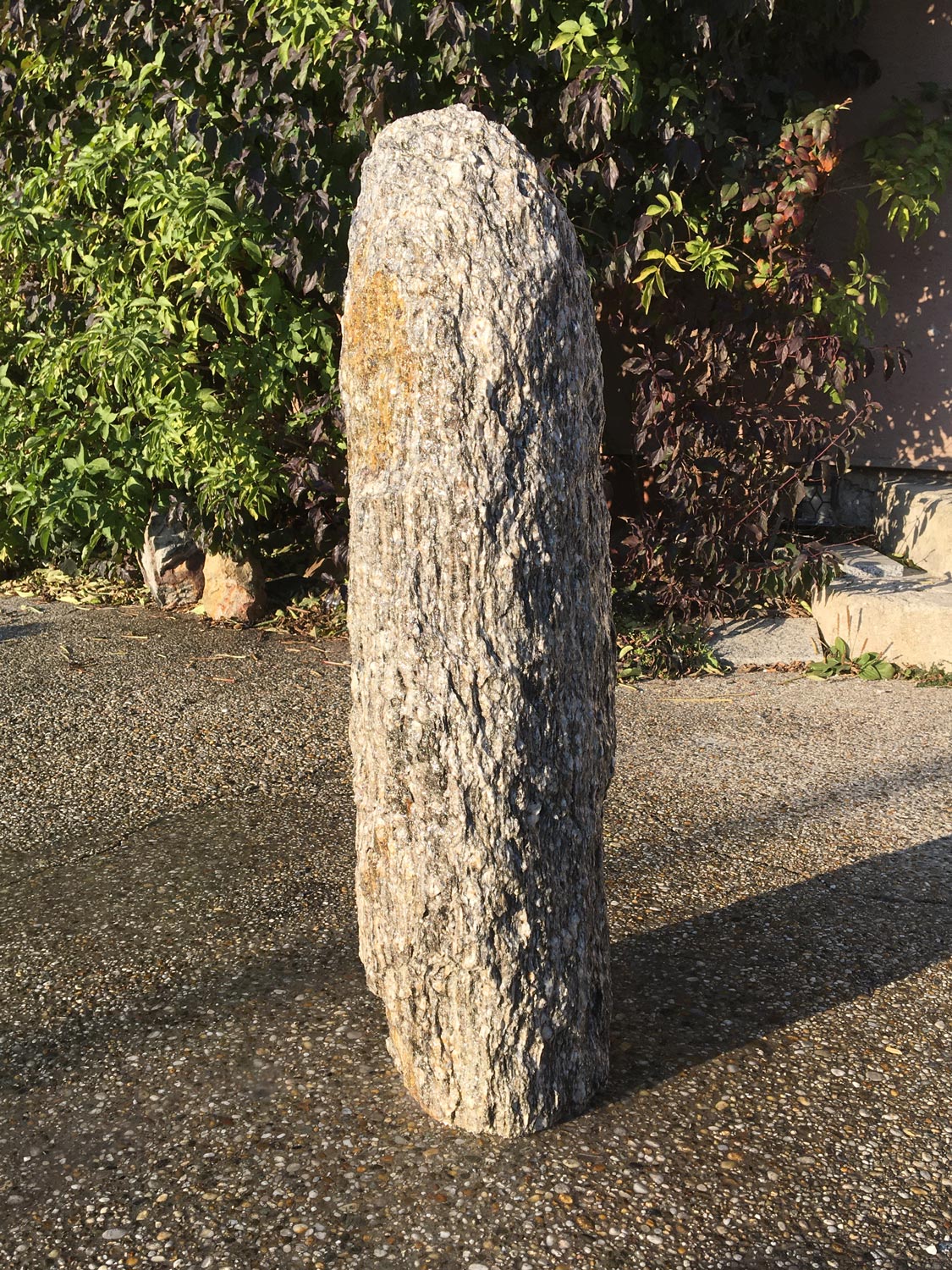 Quellstein Zebra-Gneis ZG2107, 98cm